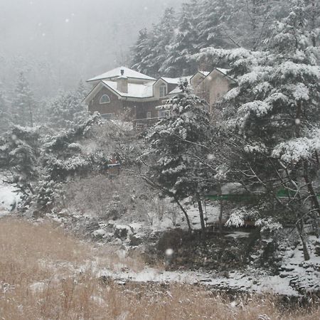 Mir Pension Gapyeong Exterior photo