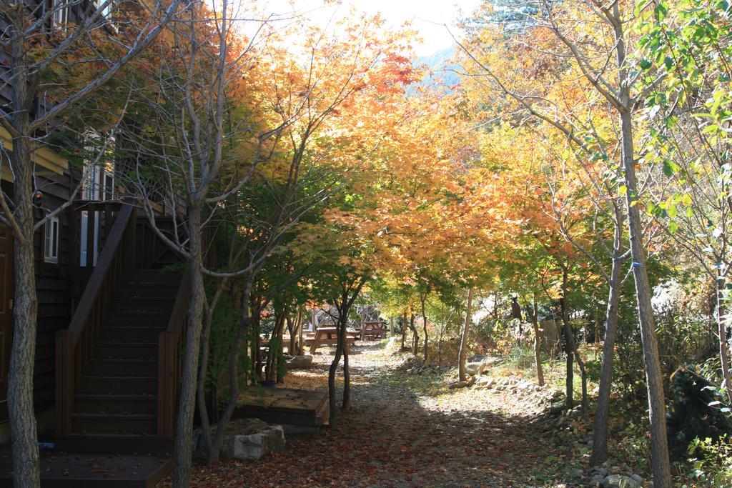 Mir Pension Gapyeong Exterior photo