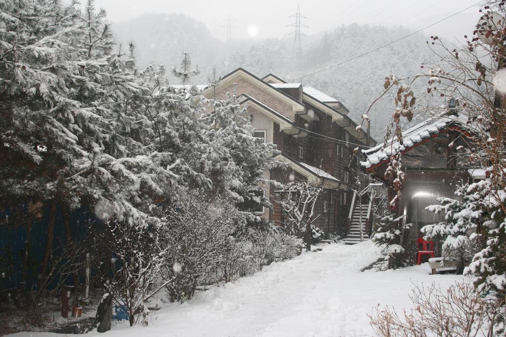 Mir Pension Gapyeong Exterior photo