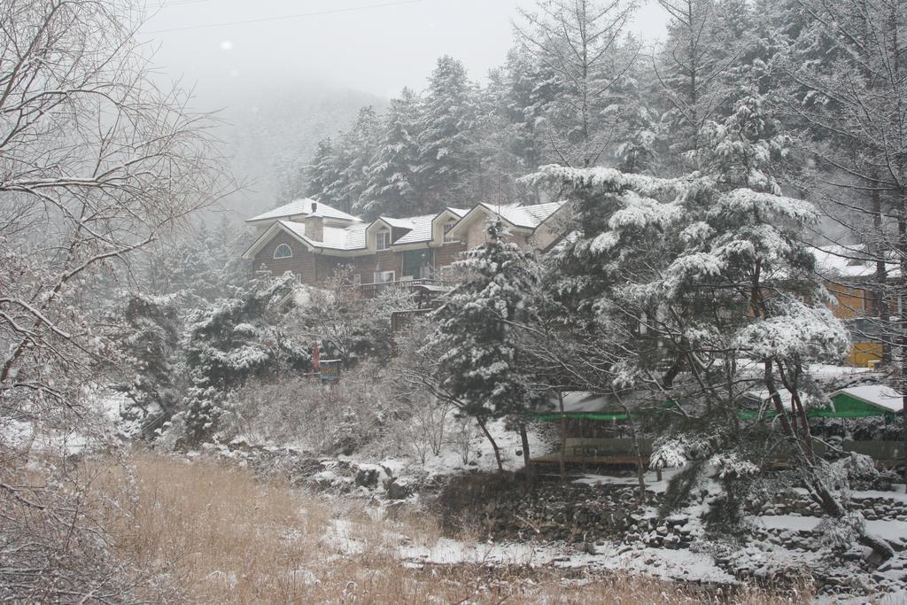 Mir Pension Gapyeong Exterior photo