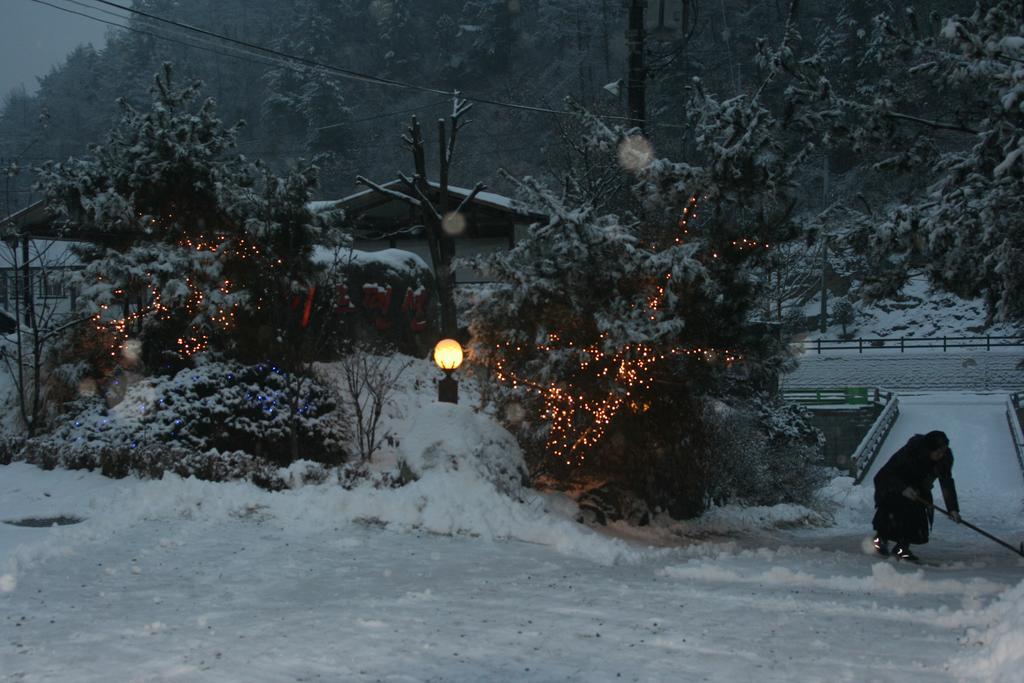 Mir Pension Gapyeong Exterior photo