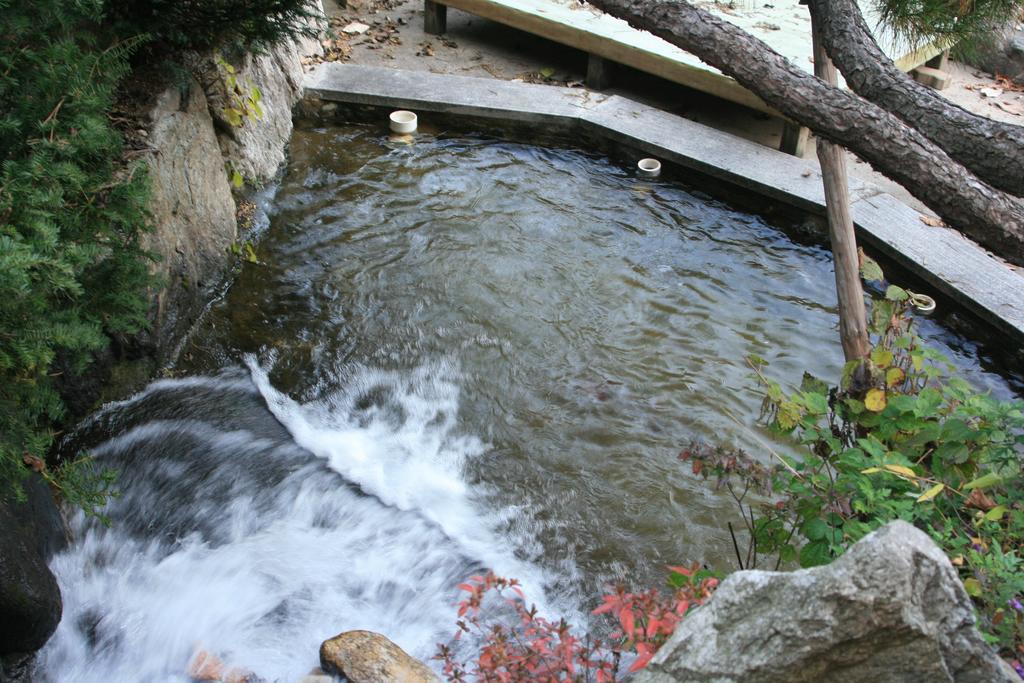 Mir Pension Gapyeong Exterior photo