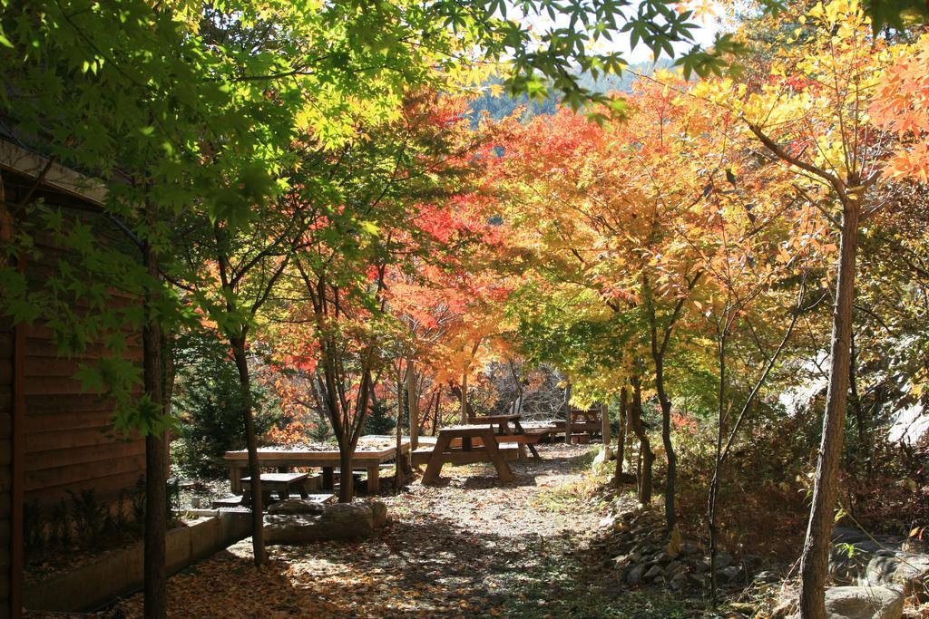 Mir Pension Gapyeong Exterior photo